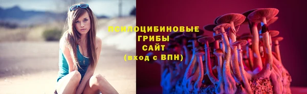 стафф Алексеевка