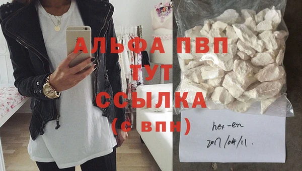 молекула духа Ростов