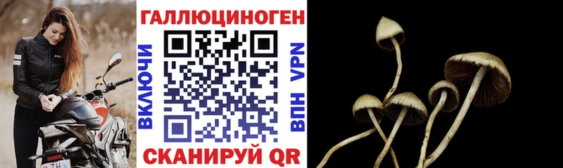 Псилоцибиновые грибы Psilocybe гидра зеркало Бежецк