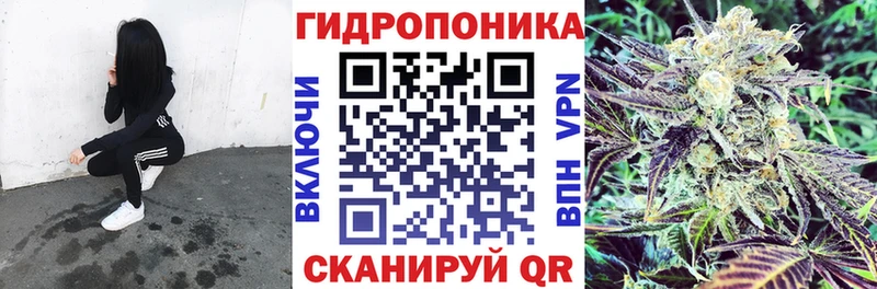 цены наркотик  Бежецк  Бошки Шишки MAZAR 